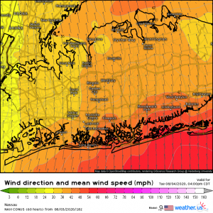 NAM Wind Speeds