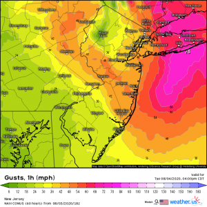 NAM Wind Gusts